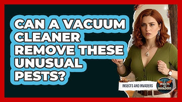 Can A Vacuum Cleaner Remove These Unusual Pests? - Insects and Invaders