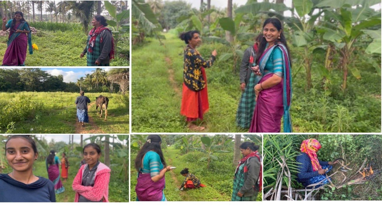 ಹಳ್ಳಿ ಲಿ ಇದ್ರು ಲೈಫ್ ನಾ ತುಂಬಾ ಚನ್ನಾಗಿ ಎಂಜಾಯ್  ಮಾಡ್ತಿದಿವಿ ನಾವೆಲ್ಲ😍/ರೀಲ್ಸ್ ಮಾಡ್ಕೊಂಡು 🥰