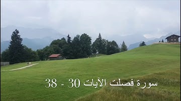سورة فصلت أجمل التلاوات