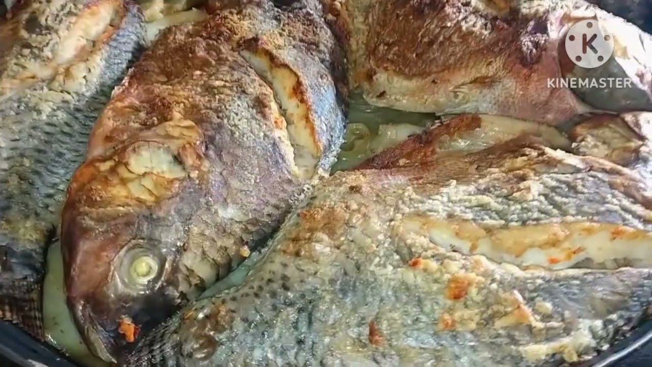 صنية سمك بلطي🐟🐟 خطيييييييييرة 😋بمعلقتين زيت بس 👌❤️