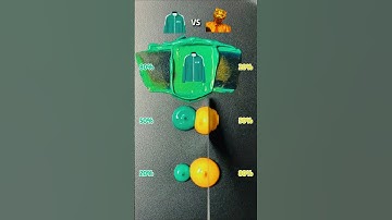 Squid Game Player vs VIP What