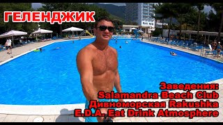 Геленджик Море и Пляжи Salamandra Beach Club, Дивноморская Rakushka, E.D.A Eat Drink Atmosphere и др