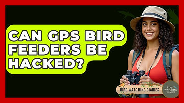 Can GPS Bird Feeders Be Hacked? - Bird Watching Diaries