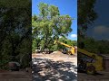 TREE CUTTING GONE WRONG, TAKES OUT MY GARAGE!