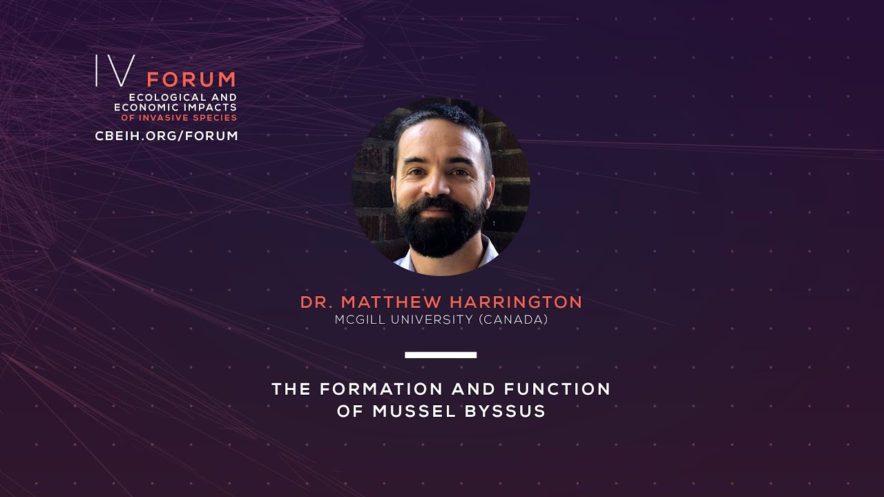 The Formation and Function of Mussel Byssus - Dr. Matthew Harrington ...