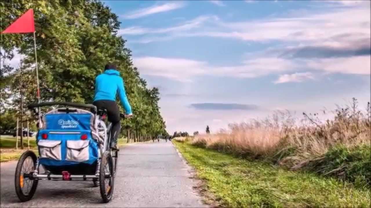 Bildergallery Speedkid2 Qeridoo Fahrradanhänger Kinderwagen