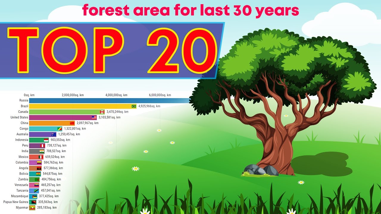 Top 20 Countries by forest area for the last  30 years