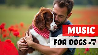 Pawsome Calming Music : Minimize Separation Anxiety  Promote... screenshot 4
