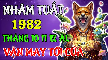 Tử Vi Tháng 10 – 11 – 12 Âm 2025 Tuổi Nhâm Tuất 1982 | Phát Tài Phát Lộc, Bình An Trọn Vẹn