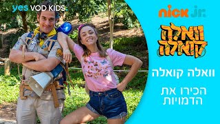 וואלה קואלה | הכירו את צוות קואלה - פרק ספיישל!