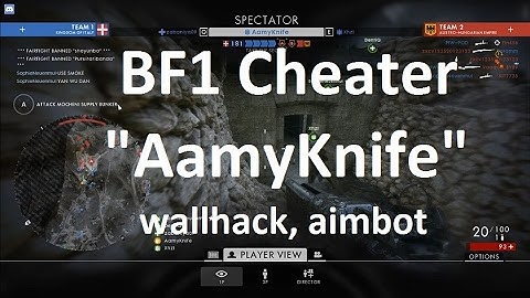BF1 Cheater "AamyKnife" caught cheating via spectator