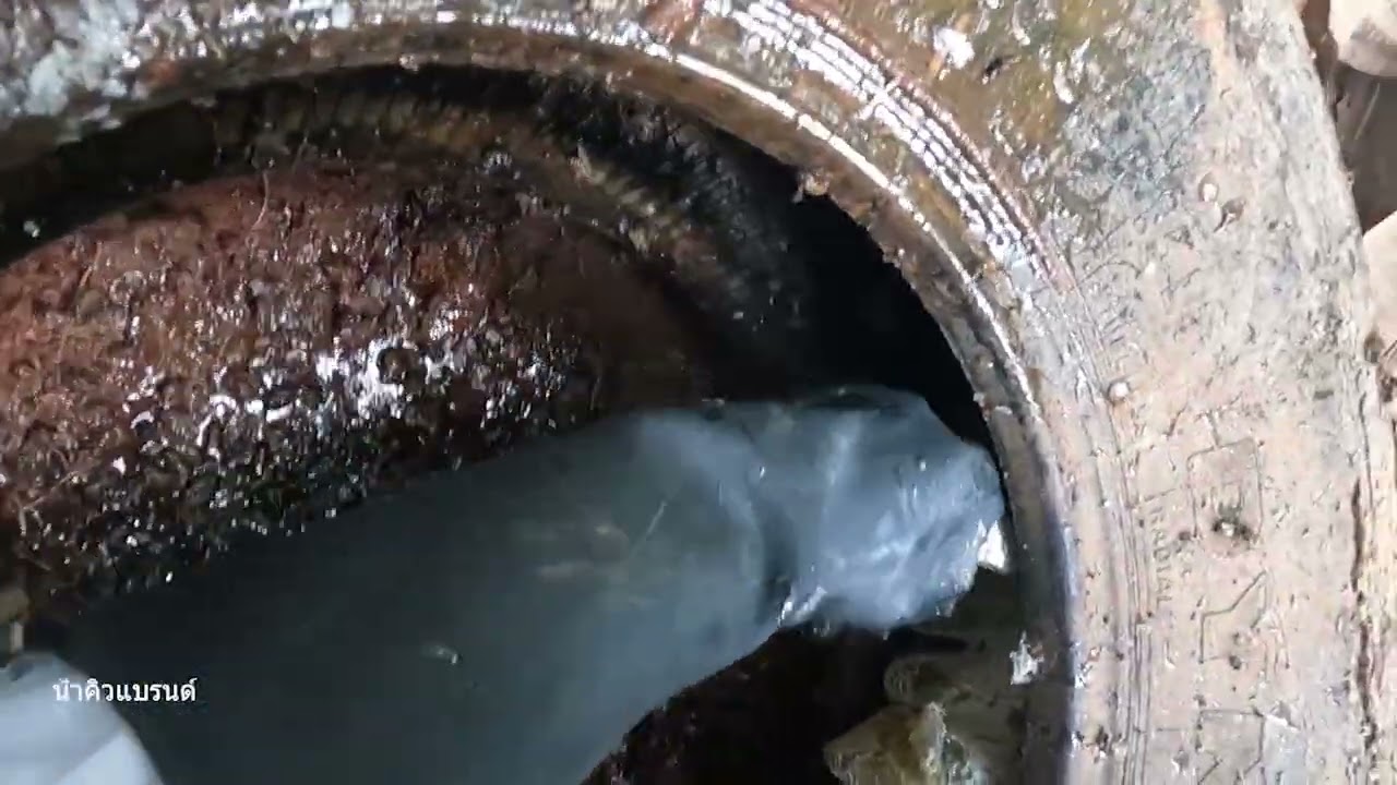 ผึ้งป่าผึ้งดินผึ้งโพรง Honey Hunt Season🐝์Numkiwbard คนหาผึ้งดิน BeeHoney Hunt 2026