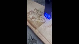 Thumbnail for laser Engraving of a tigers head photo on low power