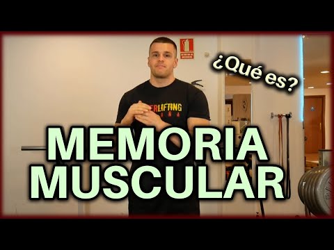 Vídeo: Què és La Memòria Muscular