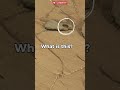 Mars Rover Surface Anomalies | Curiosity Sol 1029 Part 1