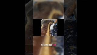 Master The Epoxy Flood Coat Step-By-Step For A Smooth Finish