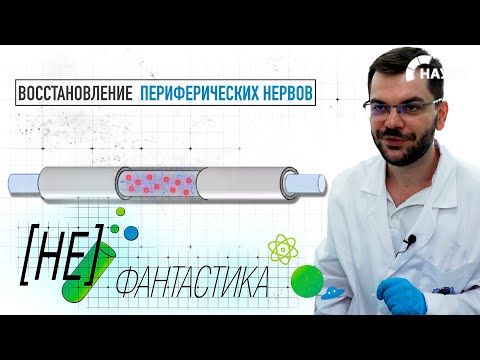 Российские ученые создали уникальную технологию восстановления нервов