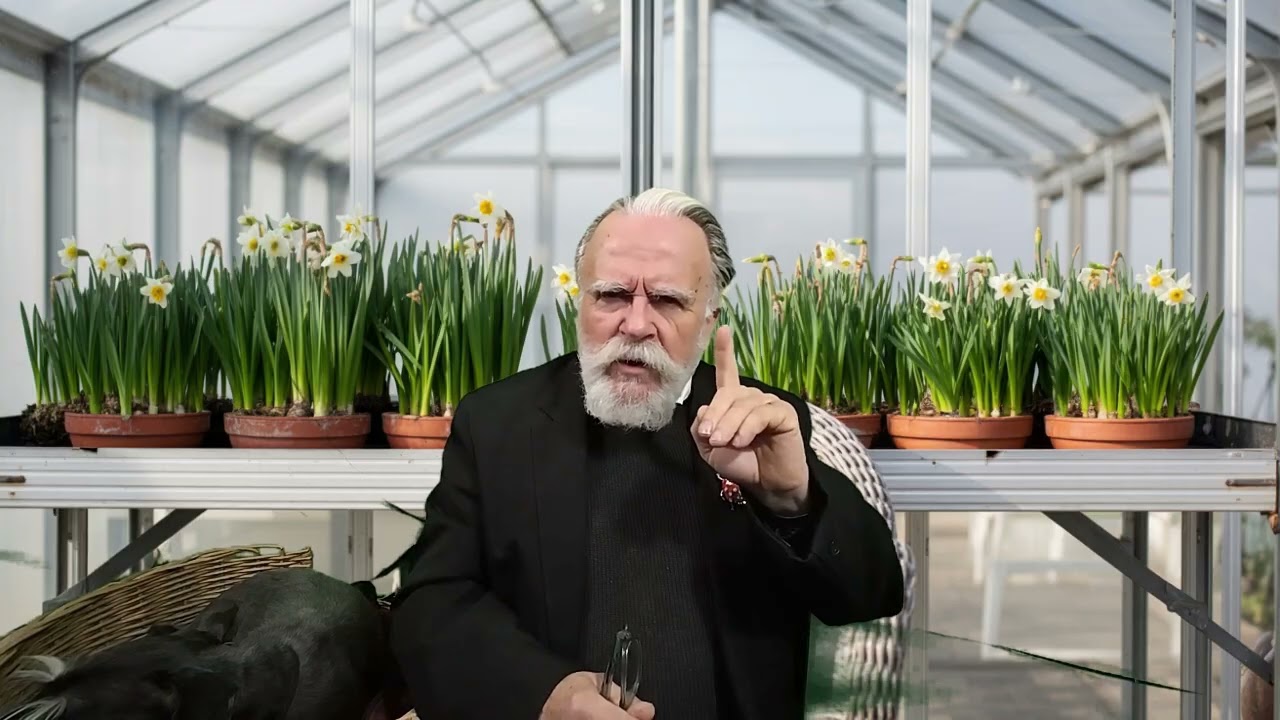 Leur monde c'est le passe sanitaire, le nôtre c'est le baiser au lépreux.