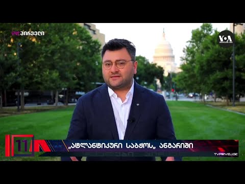 2018 წლიდან, საქართველოში პოლიტიკური თავისუფლებების კლების ტენდენციაა - \"ატლანტიკური საბჭო\"