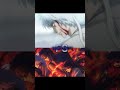 shougun assignation vs farewell shinsengumi|arc vs arc tournament #gintama#anime