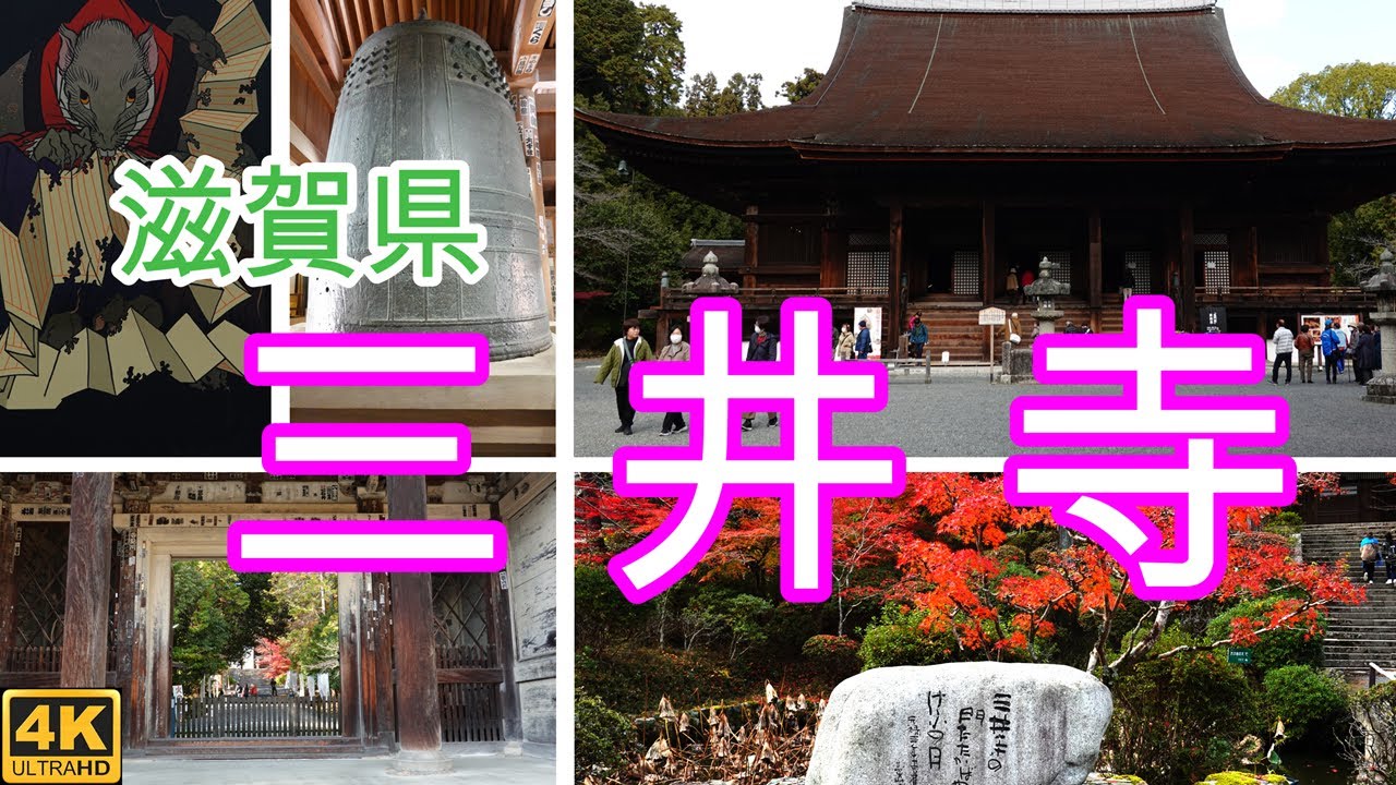 紅葉狩りと参拝をかねて滋賀県の三井寺に行ってきました。