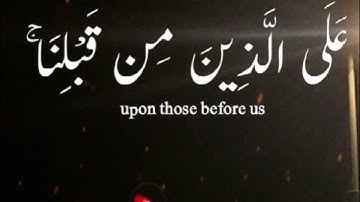 حالات واتس قرآن | محمد صديق المنشاوي |سورةالقصص