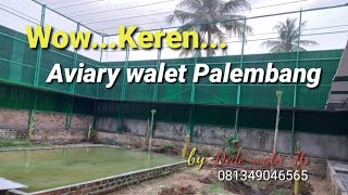 AVIARY WALET PALEMBANG SIAAP RILIS.....