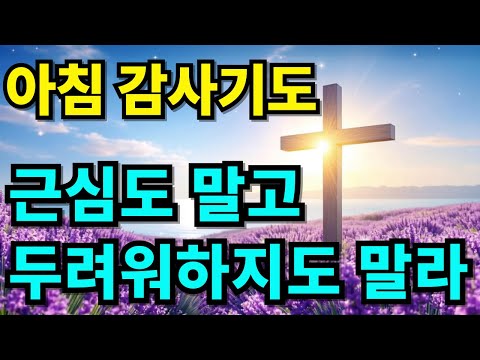 두려움 없는 하루를 시작하는 기도 평안을 주는 아침 감사기도 아침을 여는 기도 하루를 여는 기도 아침기도 감사기도 1시간 기도