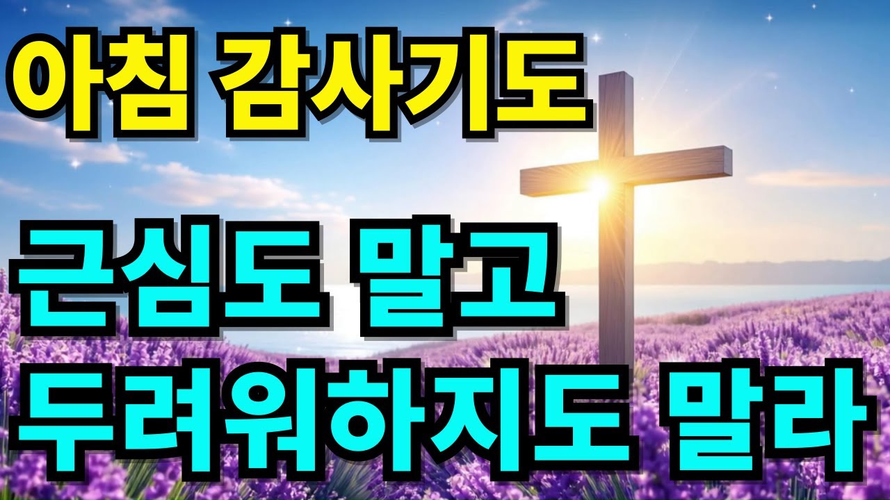 두려움 없는 하루를 시작하는 기도 | 평안을 주는 아침 감사기도 | 아침을 여는 기도 | 하루를 여는 기도 |아침기도 |감사기도 |1시간 기도