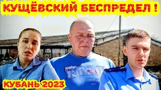 ‼️КУЩЁВКА ВНОВЬ ГРЕМИТ НА ВСЮ РОССИЮ‼️ Когда перестанут кошмарить фермеров и кто примет меры? Кубань