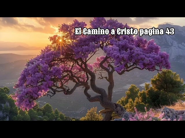 El Camino a Cristo pagina 43  -  Esther Larios class=