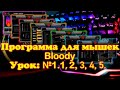 Программа для мышек Bloody 2022 Урок №1.1, 2, 3, 4, 5.