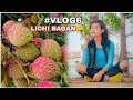 First time in lichi bagan  vlog6  santali vlog   puja soren official