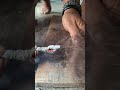 Fire roll technique #firemaking #primitivefire #survivalfire