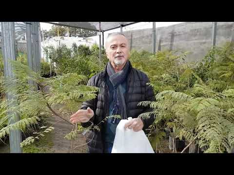 Video: ¿Qué es la tela helada? Uso de una manta helada para las plantas