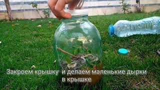 КАК СДЕЛАТЬ ТЕРРАРИУМ! Terrarium yasash