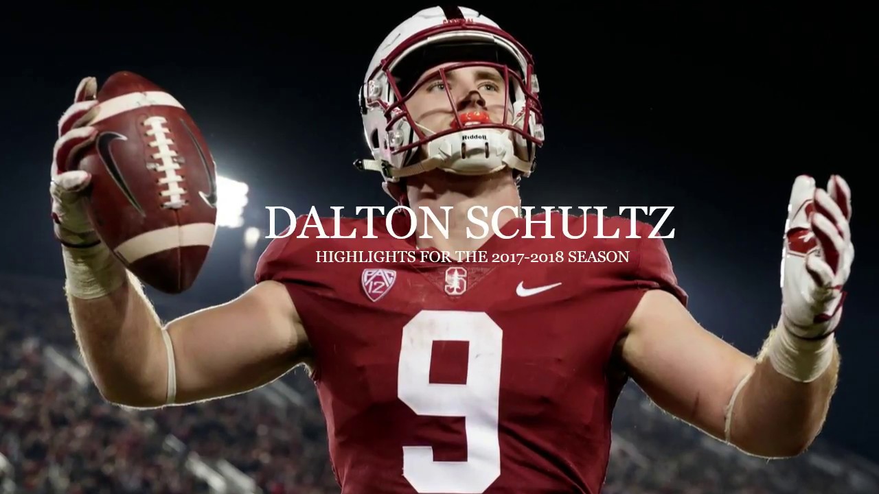 Dalton Schultz Career Stats