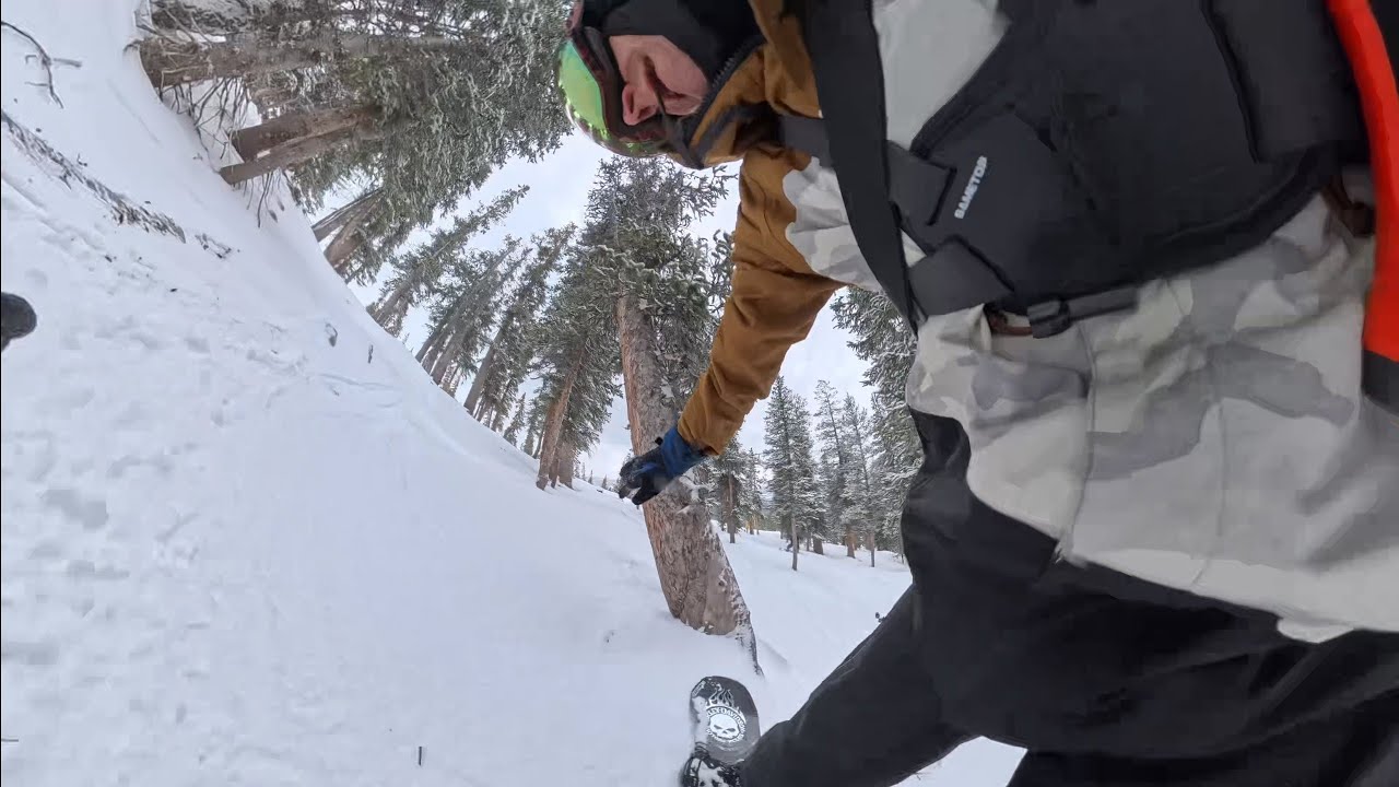 2/18/26 | I smack a tree