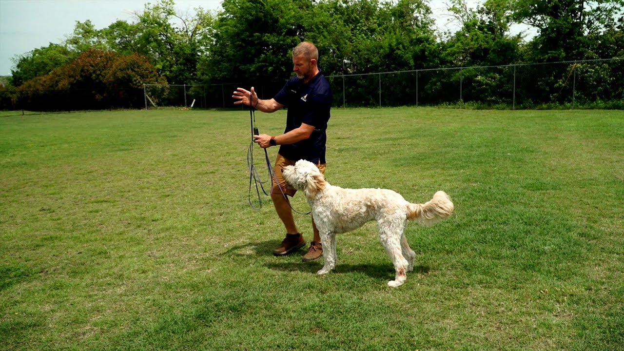 Training The Follow Me Command with the Garmin Delta® SE