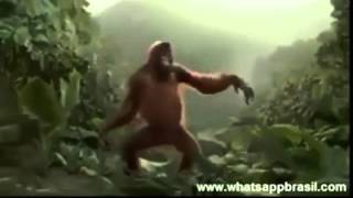 VID-20140618-WA0019.mp4