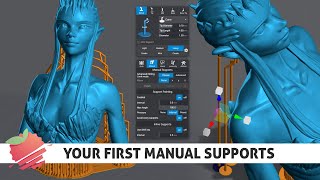 Learn Lychee Slicer - Getting started with manual supports