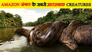 दुनिया का सबसे रहस्यमयी जंगल Amazon | Secrets of Amazon Rainforest | Amazon Rainforest