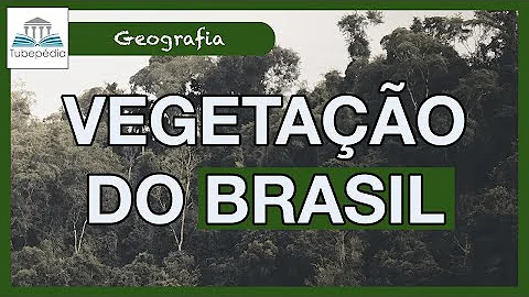 Que tipo de vegetação predomina o Estado onde vc mora?