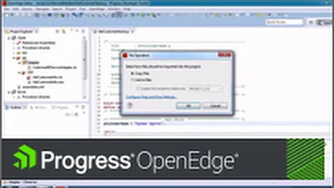 Getting Started with Progress Developer Studio for OpenEdge