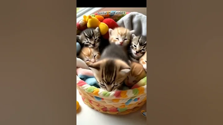 Watch the video about Funny cat #cute #cat #kitten running #angora #cute animals