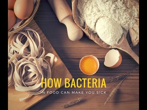 How Bacteria In Food Can Make You Sick - YouTube