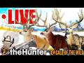 Grinding for the NEW Mulie Rares! (And Mule Deer GO #4) | LIVE