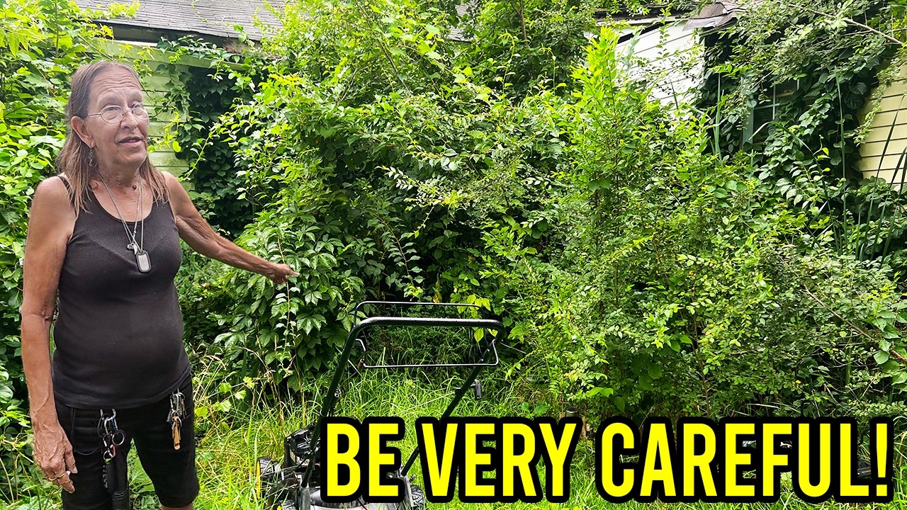 Она предупредила меня не возвращаться туда… Но я отказался уходить