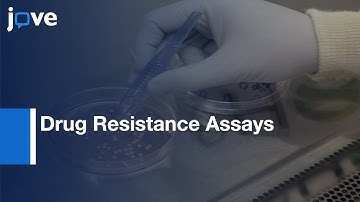 Drug Resistance Assays: Uncovering Relevant Resistance Mechanisms