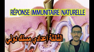 Réponse immunitaires naturelle -الثالثة اعدادي مسلك دولي -